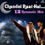 Chandni Raat Hai - 12 Romantic Hits - Tarannum Malik Jain Song Download